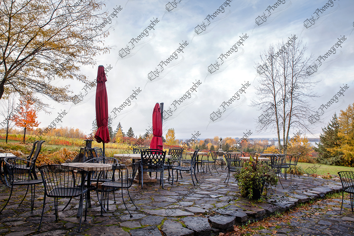 elze_photo_3263_terrasse_automne_vignoble_terrace_chairs
