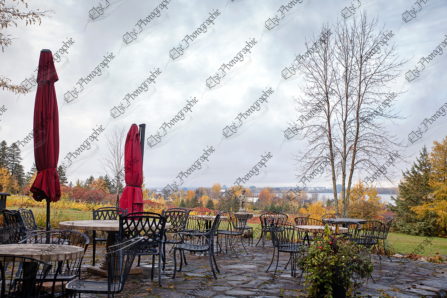 elze_photo_3265_plaisir_gastronomique_bignoble_deck_tables