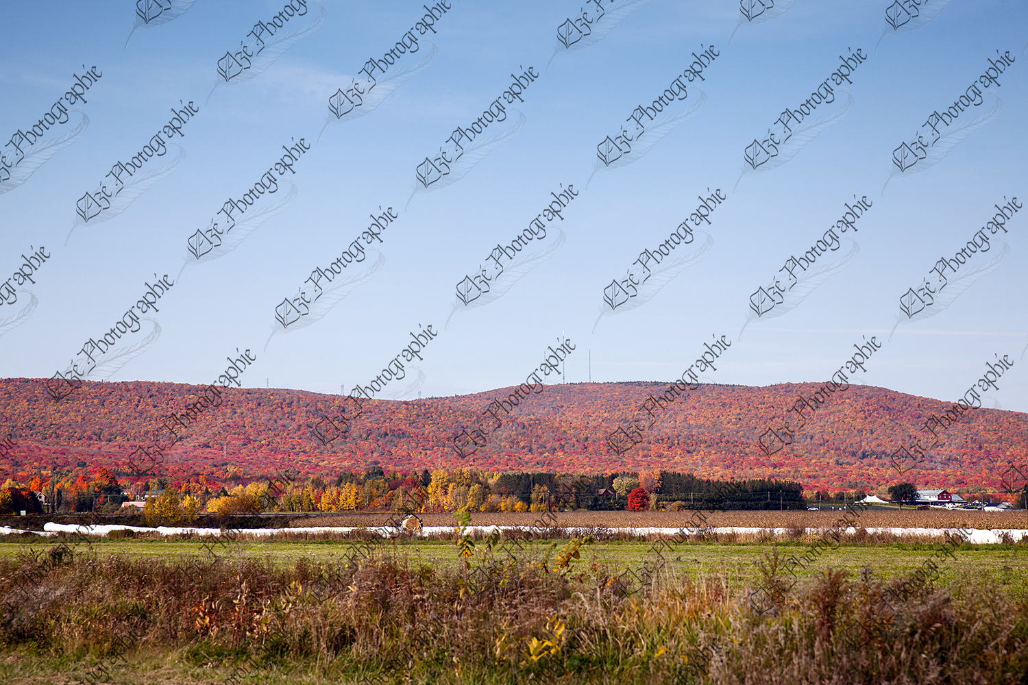 elze_photo_4605_paysage_automne_montagne_autumn_landscape