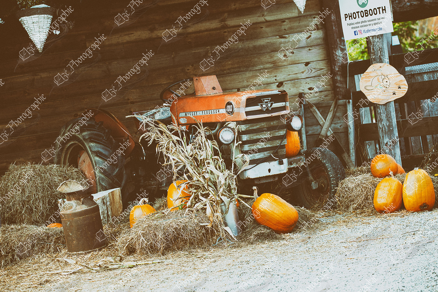 elze_photo_4615_agrotourisme_citrouille_tracteur_agritourism_site