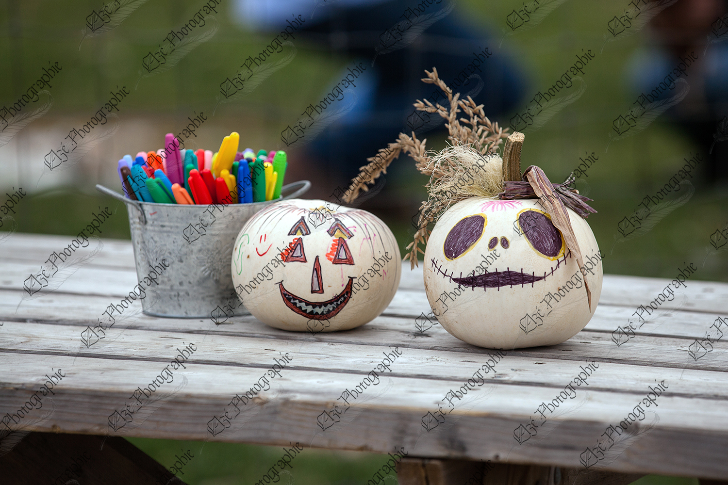 elze_photo_4765_courges_crayon_halloween_small_costume_squashes