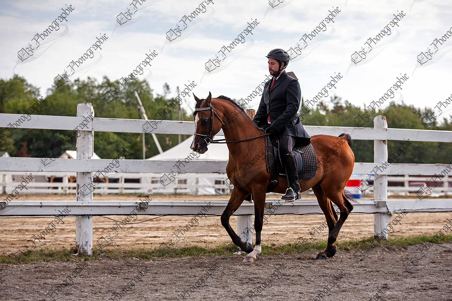 elze_photo_5461_cheval_competition_etrier_horse_equestrian_show