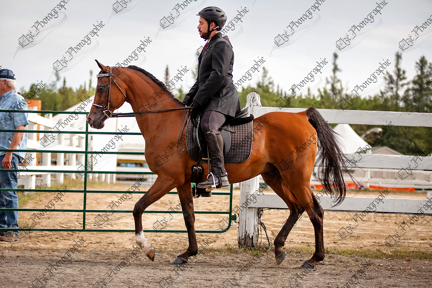 elze_photo_5465_cheval_monte_classique_concours_horse_riding