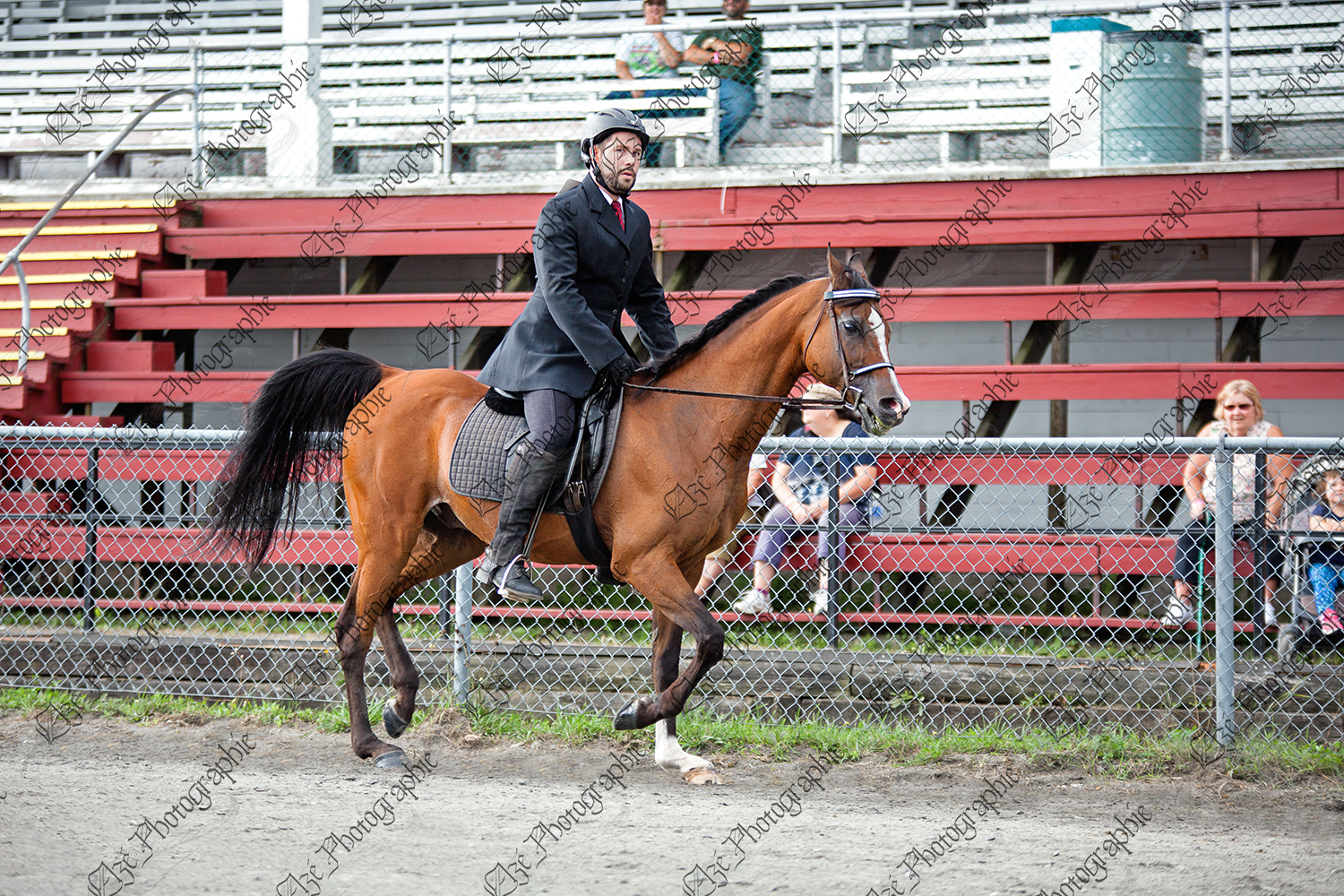 elze_photo_5582_bridon_competition_chevaux_classical_rider_arabian_horse