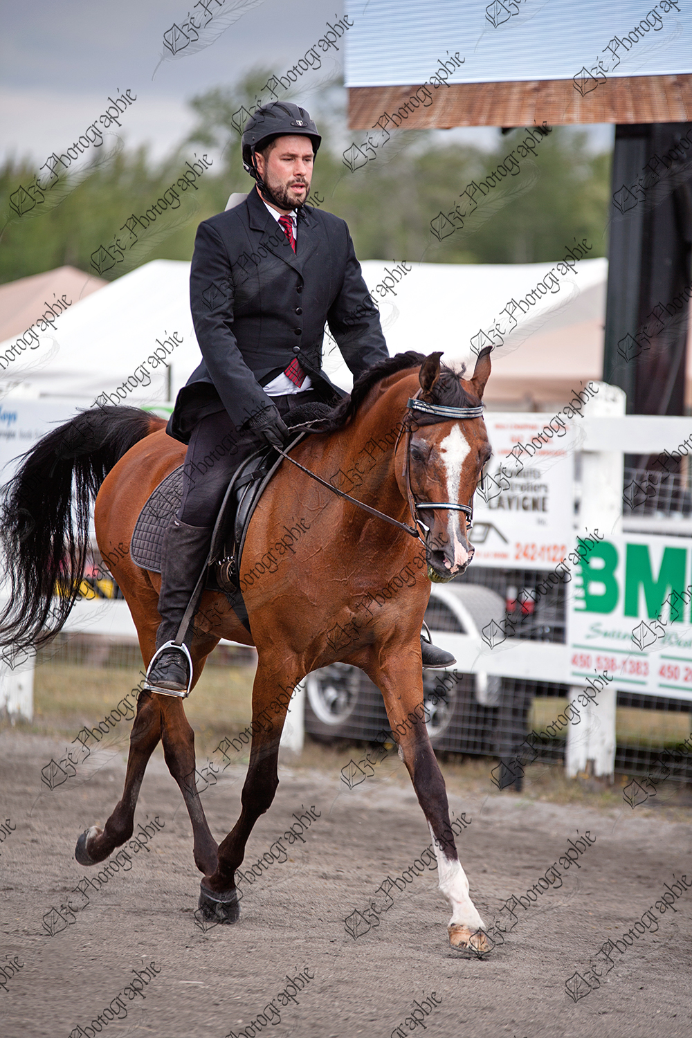 elze_photo_5597_concours_hippique_cheval_rider_horse_competition
