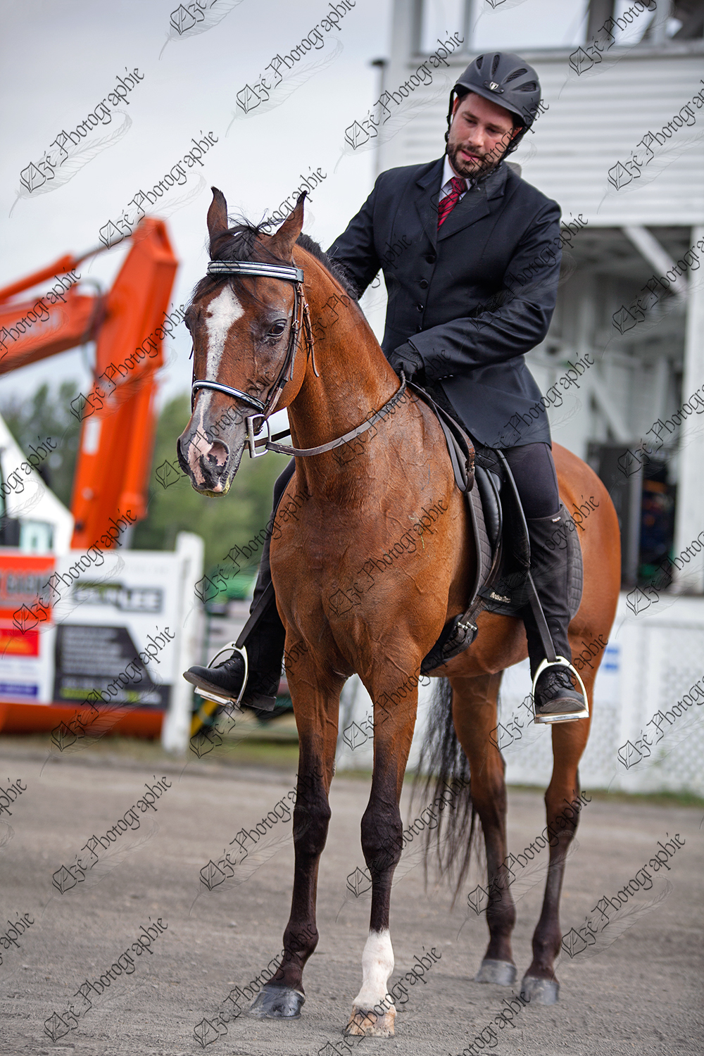 elze_photo_5619_arret_cheval_profil_rider_lineup_competition
