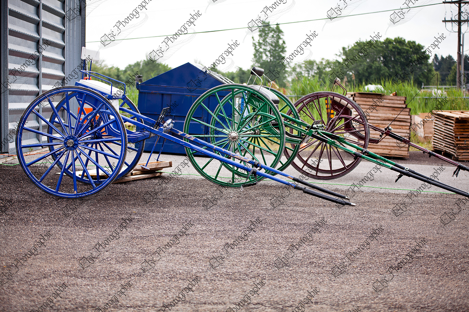 elze_photo_6592_chariot_spectacle_attelage_cart_coupling