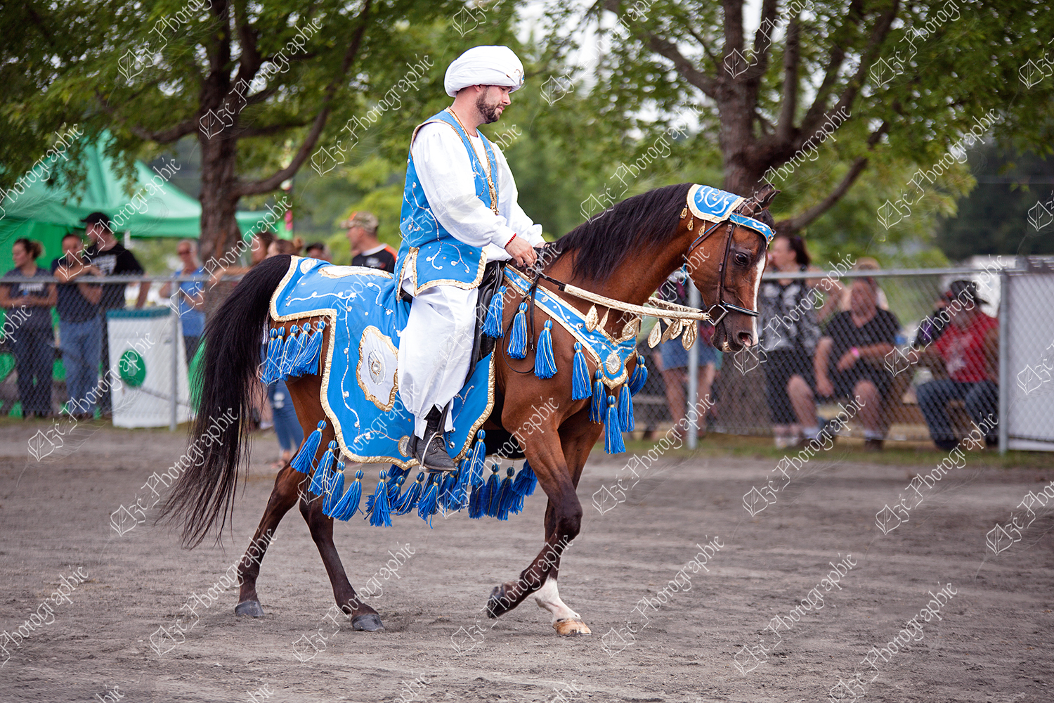 elze_photo_7109_costume_arabe_aladdin_arabian_horse_classical_horseman