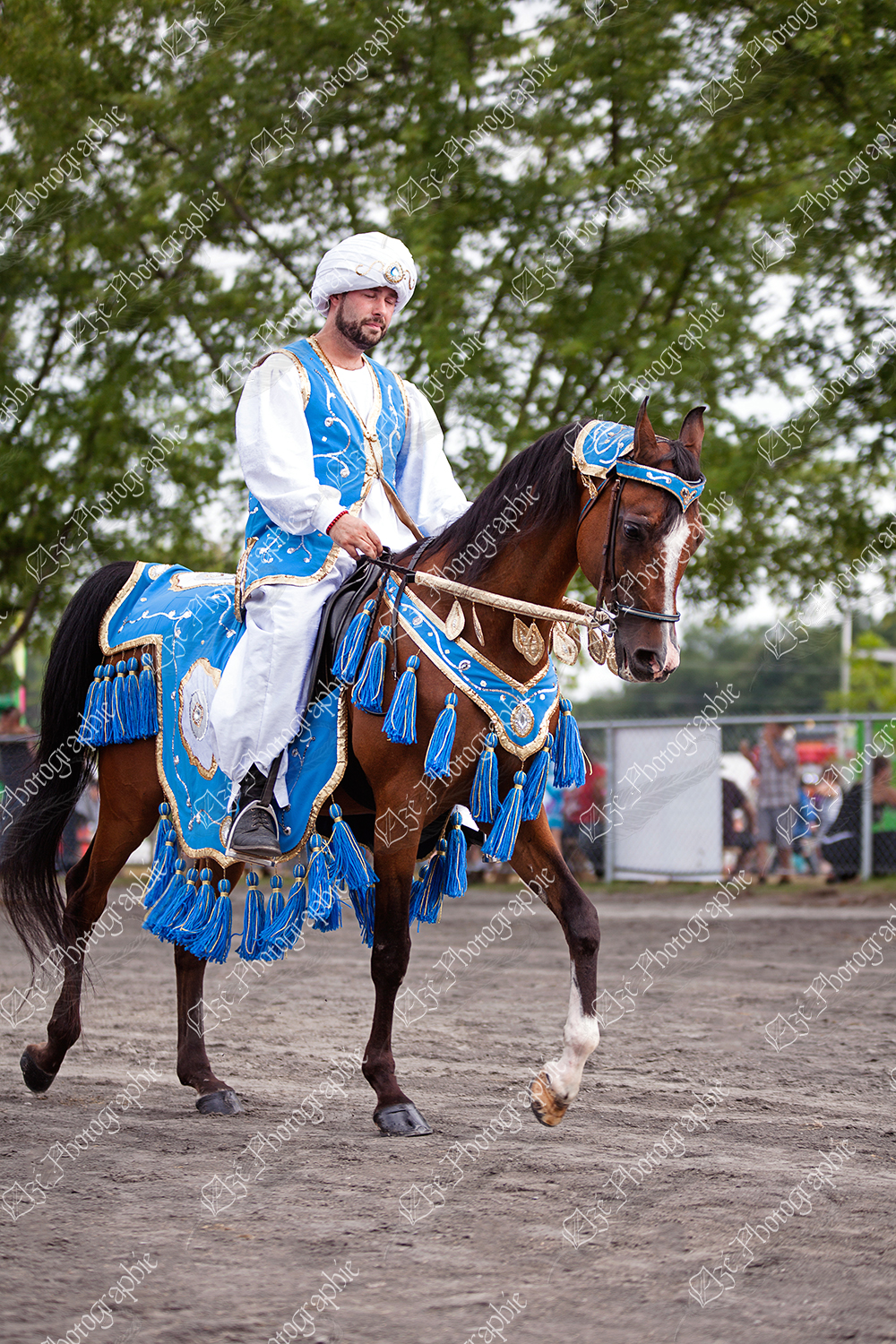 elze_photo_7114_spectacle_costume_cheval_wonderful_arabian_show