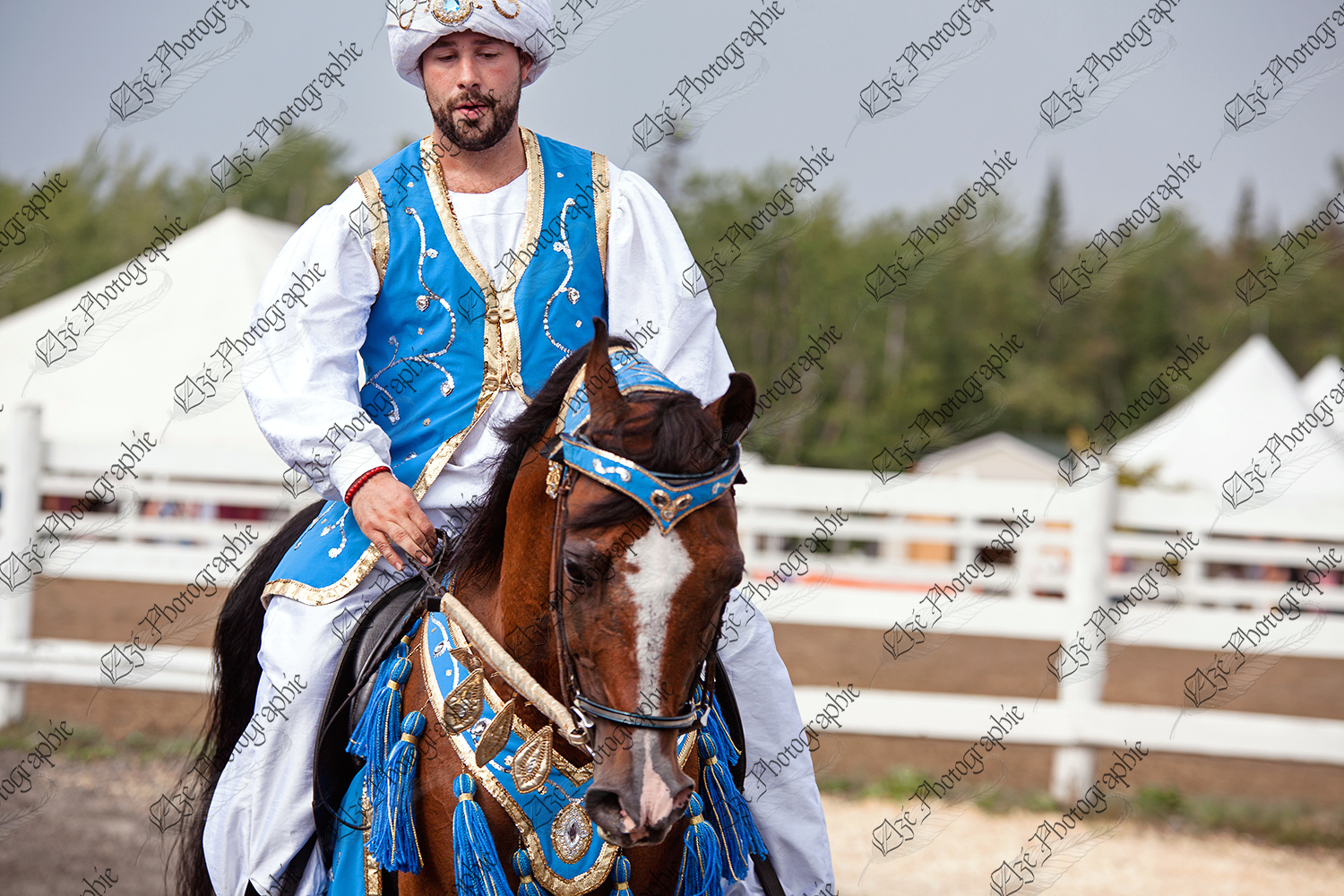 elze_photo_7149_spectacle_cheval_costume_arabian_horse_in_costume