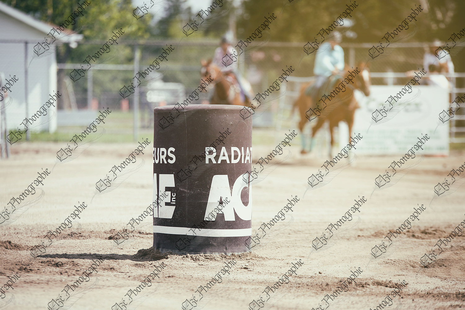 elze_photo_7612_baril_course_rapide_horse_barrel_race