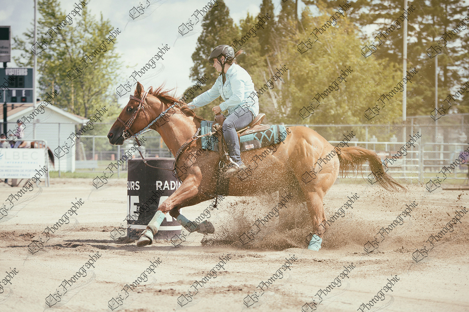 elze_photo_7617_cheval_sport_equestre_gymkhana_competition_horse
