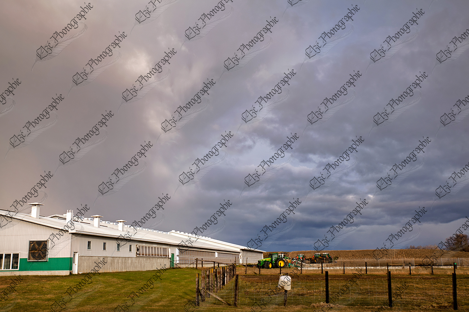 elze_photo_7823_batiment_agricole_laitier_dairy_farm_summer