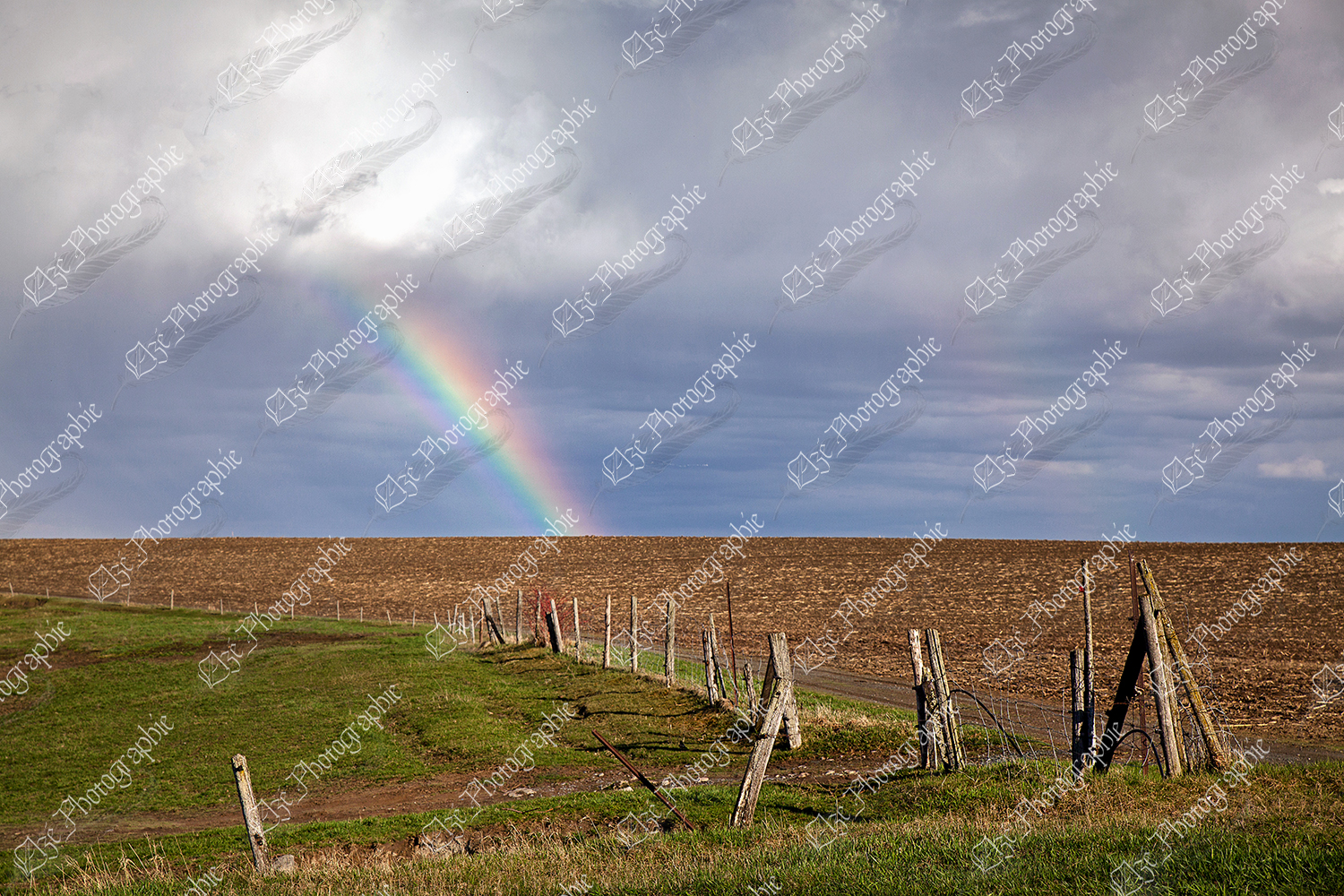 elze_photo_8635_campagne_champ_automne_rainbow_pasture
