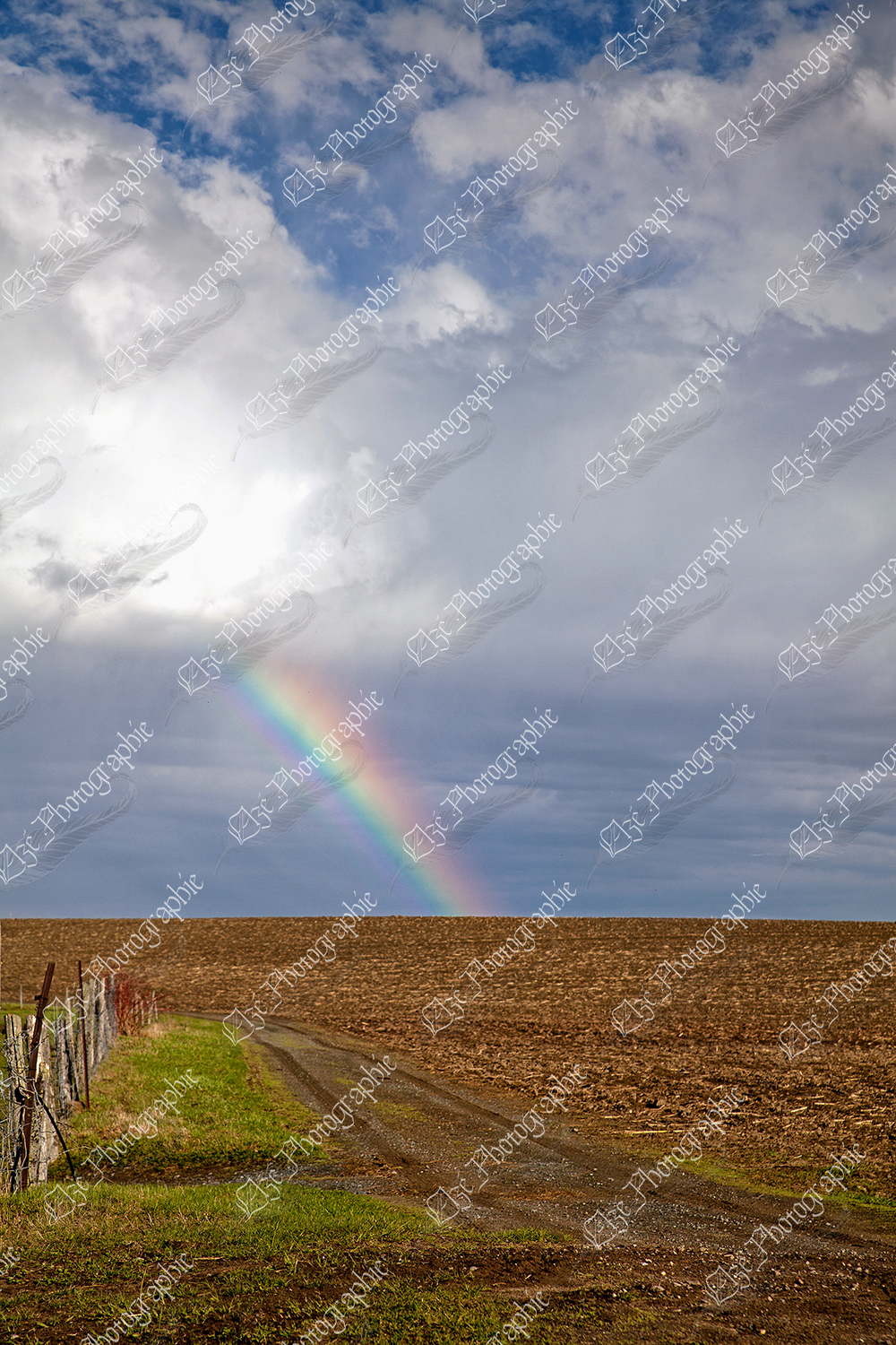 elze_photo_8637_champ_terre_agricole_rainbow_fall