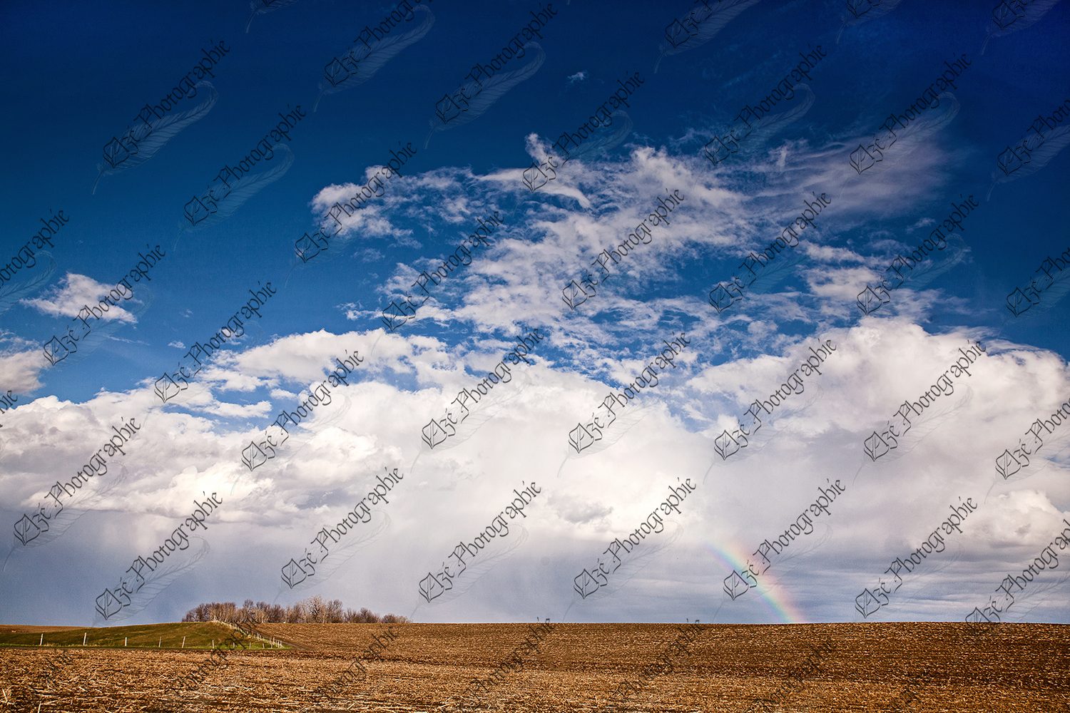elze_photo_8639_nature_champ_ciel_agricultural_rainbow