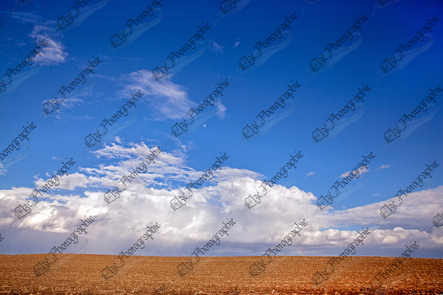 elze_photo_8640_champ_terre_agricole_fall_beautiful_sky