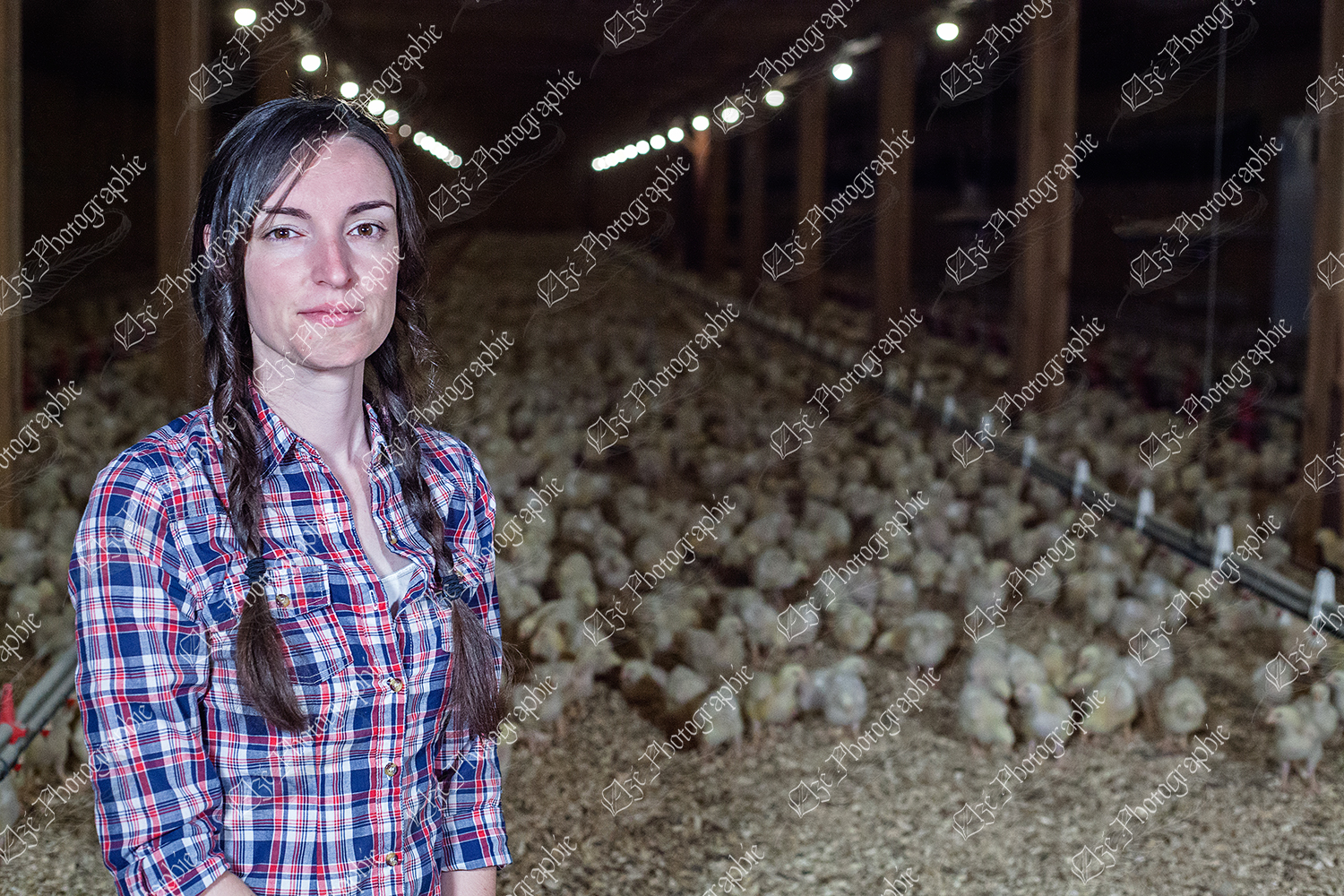 elze_photo_9025_agricultrice_poulet_lot__hen_house_chicken