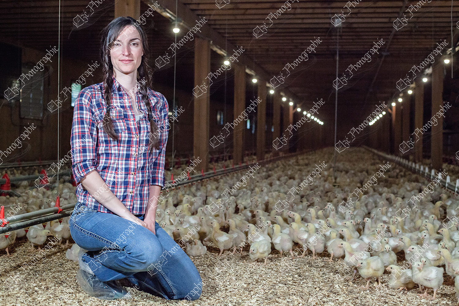 elze_photo_9037_poulet_agricultrice_poulailler_woman_agriculture