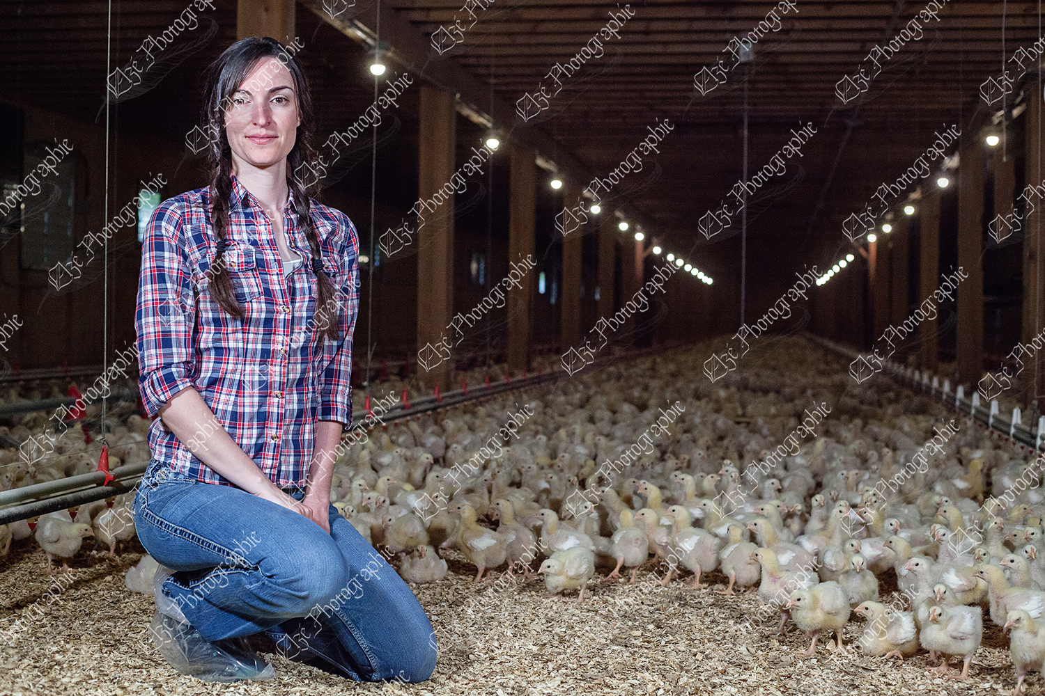elze_photo_9038_releve_agricole_feminine_land_girl_chicken