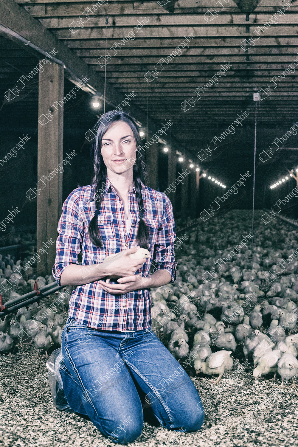 elze_photo_9079_litiere_agricultrice_poulets_chickens_farm_lady