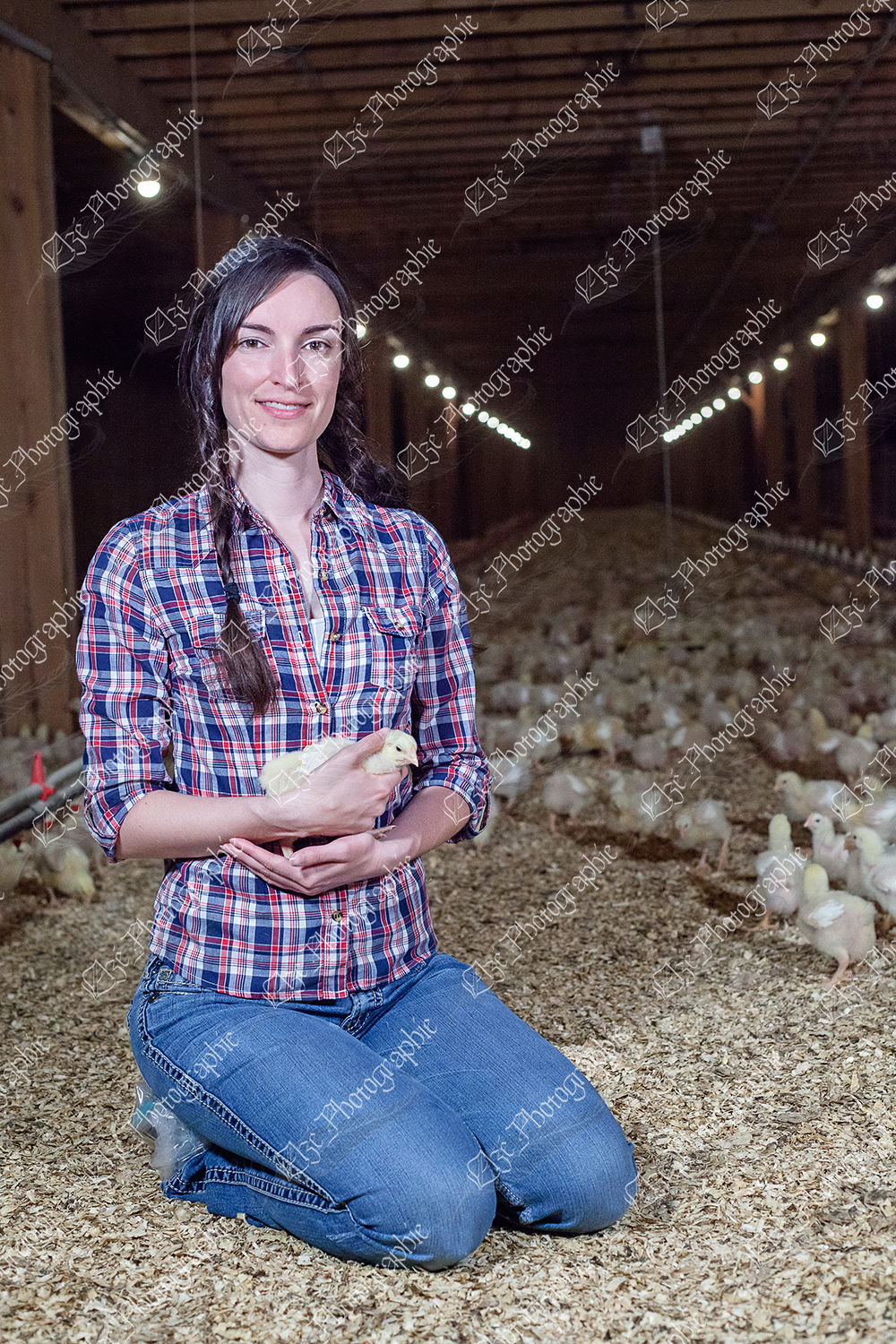 elze_photo_9086_poulet_de_chair_agricultrice_poulailler_farmer_poultry_barn