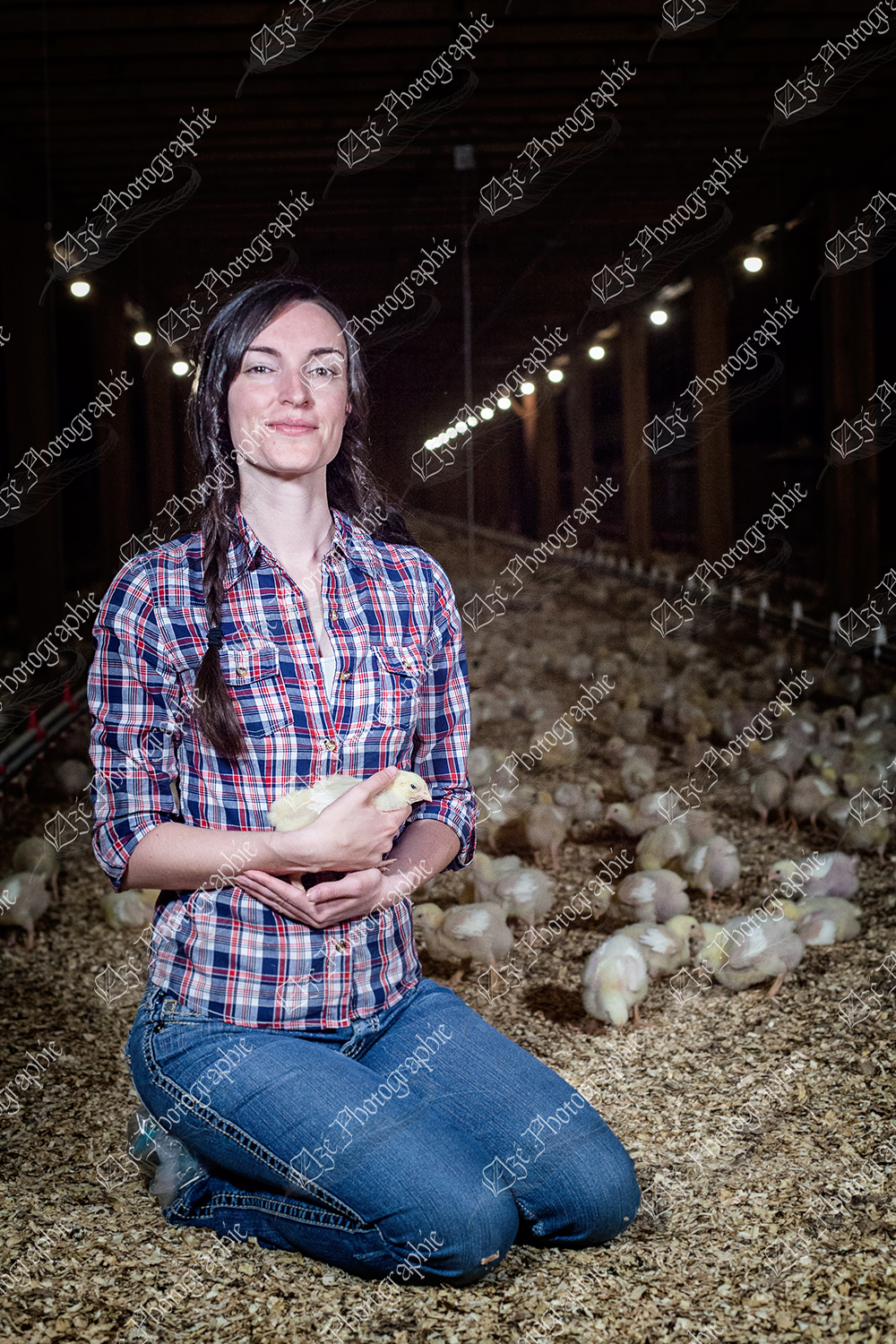 elze_photo_9089_agricultrice_poussins_poulailler_chicken_farm