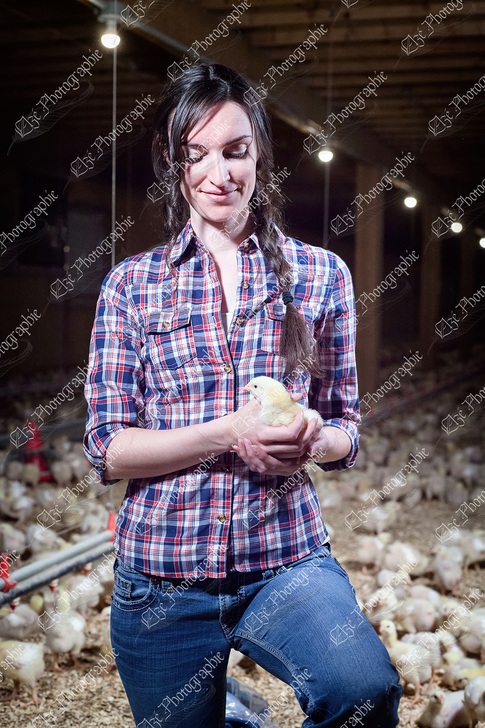 elze_photo_9149_poulets_agricultrice_ferme_poultry_flock_farm