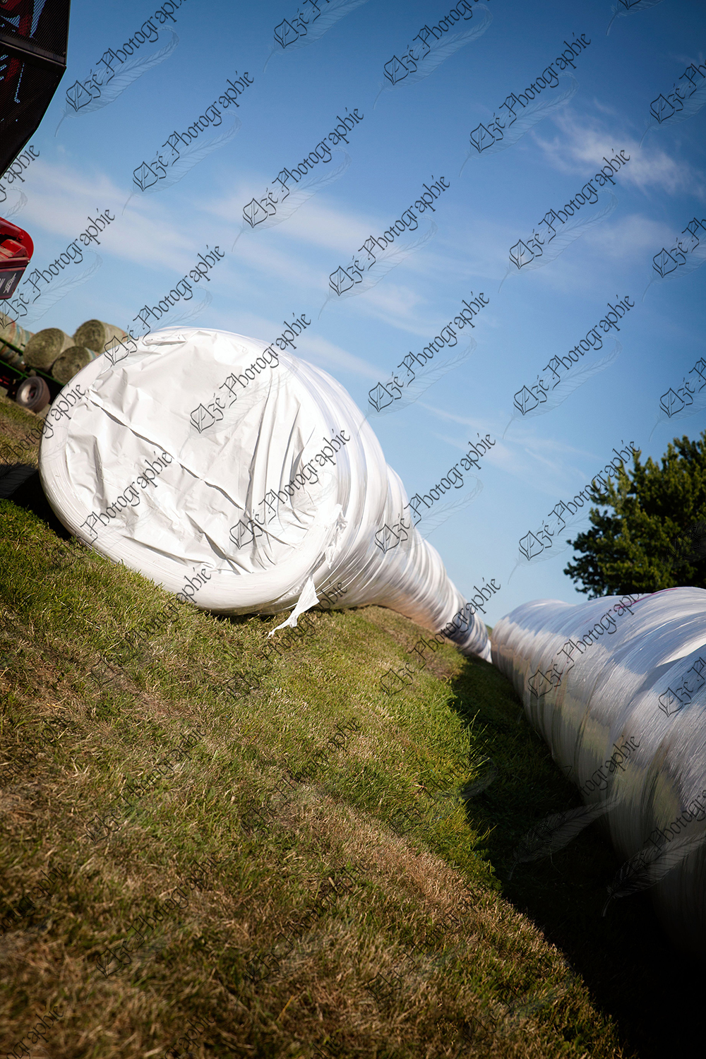 elze_photo_9349_champ_entreposer_foin_hay_wrapped_roll