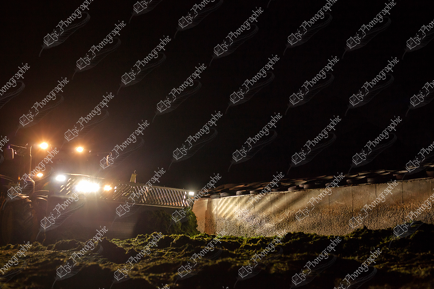 elze_photo_9774_tracteur_alimentation_animal_ensilage_tractor_cow_food