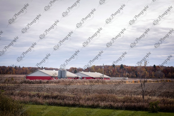 elze_photo_0425_campagne_porcherie_automne_pigsty_countryside