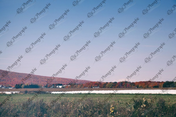 elze_photo_4604_nature_automnale_campagne_countruside_autumn