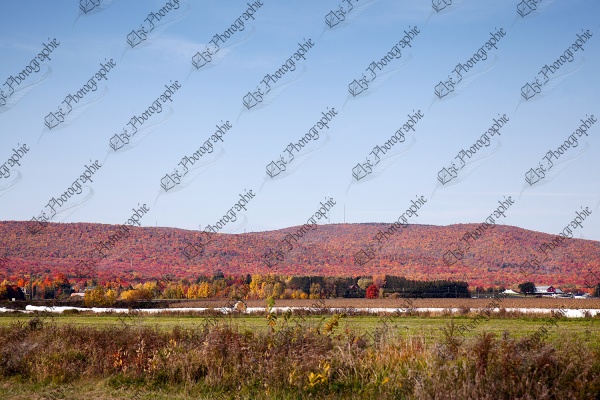 elze_photo_4605_paysage_automne_montagne_autumn_landscape