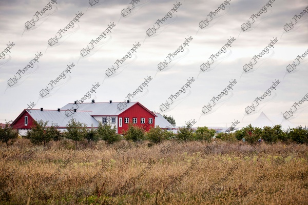 elze_photo_4720_ferme_maraichere_agrotouristique_wild_plants_autumn_farm