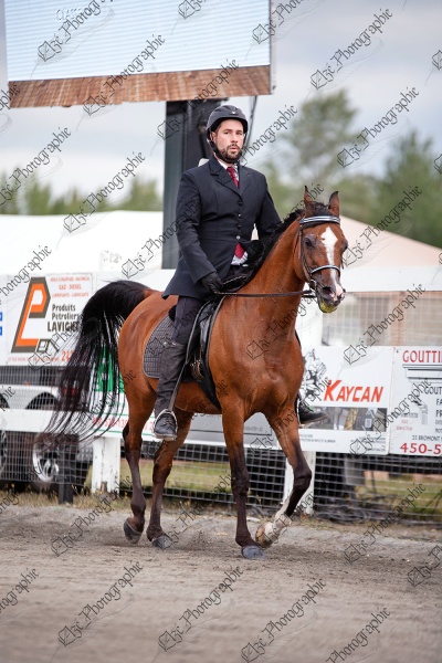 elze_photo_5571_chemise_classique_cavalier_horseman_arabian_horse