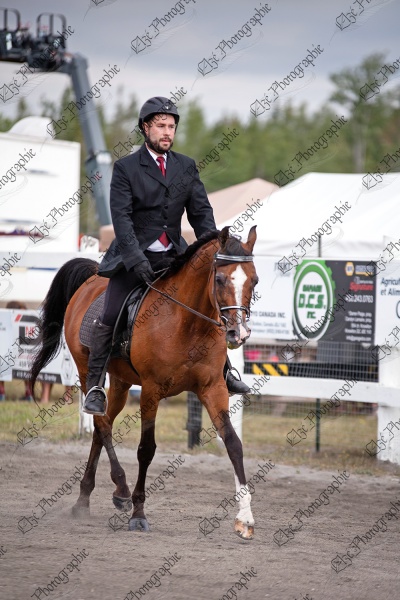 elze_photo_5596_competition_concentration_cheval_horse_show