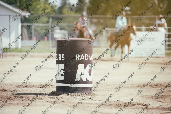 elze_photo_7612_baril_course_rapide_horse_barrel_race