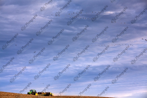 elze_photo_8465_semence_culture_mais_tractor_corn