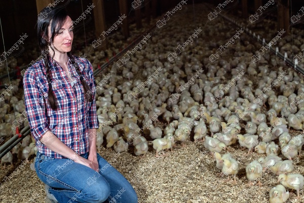 elze_photo_9042_poussin_litiere_agricultrice_next_generation_of_farmer_chicken