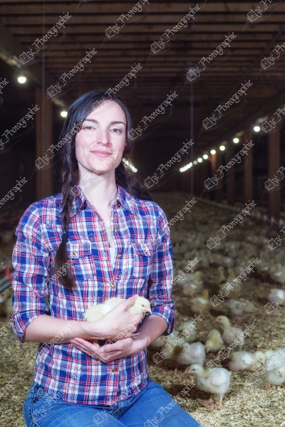 elze_photo_9093_demoiselle_poulets_elevage_farm_farmer