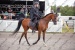 elze_photo_5637_participant_competition_equestre_river_horse